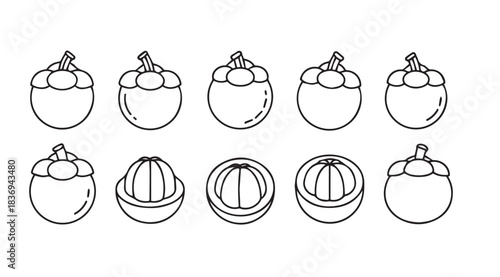 Hand drawn mangosteen fruit collection isolated line art sketch style tropical food vector