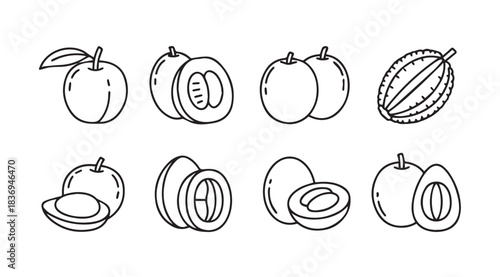 Set of eight hand drawn fruit icons including apples plums and other tropical fruits vector