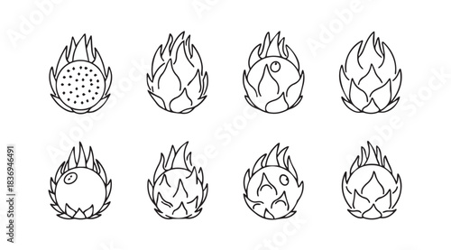 Hand drawn dragon fruit icon set variety of tropical exotic fruit sketches outline vector