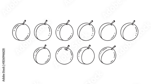 Hand drawn line art collection of ripe plums for healthy food and harvest themes vector