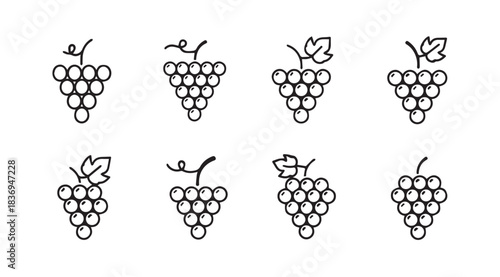 Collection of hand drawn grape bunches various styles for wine and food design elements vector