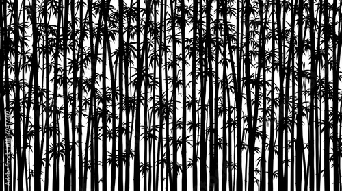 Black silhouettes of dense bamboo forest with tall, slender stalks and sparse leaves against a white background.