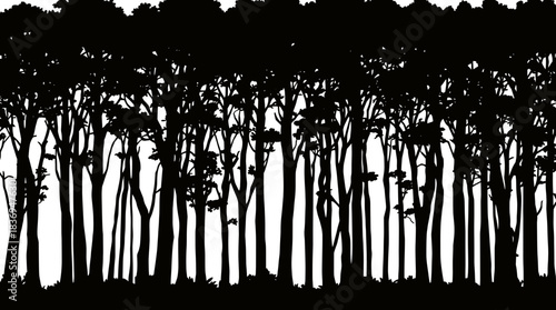 A dense, dark silhouette of a forest canopy with numerous tall trees and branches against a white background.
