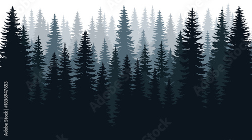 A dense, layered silhouette of a coniferous forest with pine trees in varying shades of blue and grey, creating a misty, atmospheric landscape.