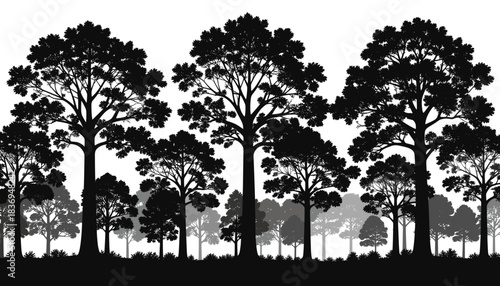 A striking black and white silhouette of a dense forest with tall trees in the foreground and a layered background of smaller trees.