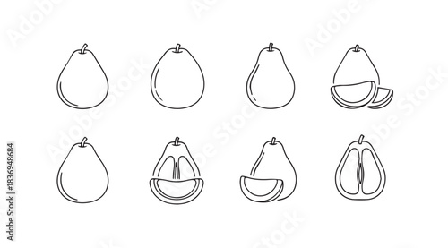 Collection of pear fruit outline sketches showing different stages of cut and whole form vector