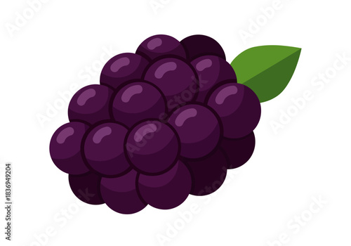 Blackberry Cluster Vector