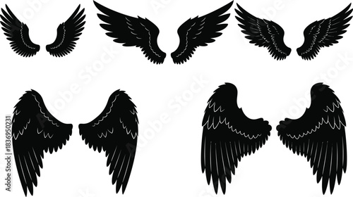 A collection of black feathered wings in various shapes and designs