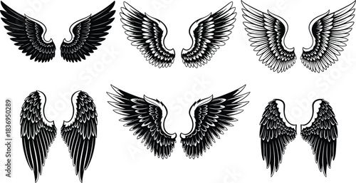 A collection of detailed black and white wing illustrations in various styles