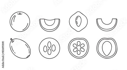 Hand drawn sketch fruits and vegetables variety set fresh food elements vector
