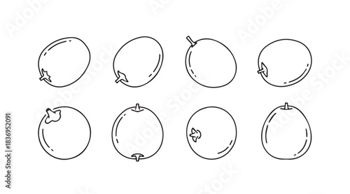 Diverse collection of stylized whisk drawings showing fruits in various artistic styles vector
