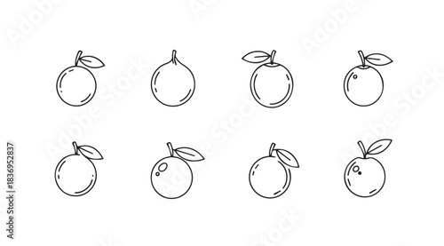 Collection of hand drawn orange fruit icons with leaves simple sketch design for food and healthy lifestyle vector