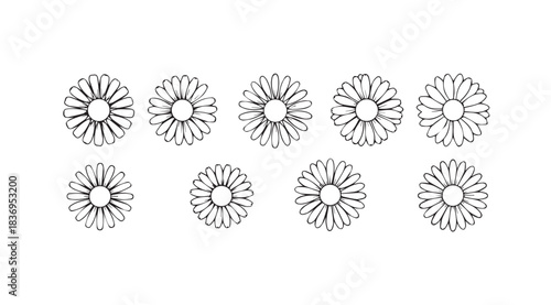 Collection of ten hand-drawn floral elements with intricate details and a vintage aesthetic vector