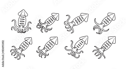 Eight hand drawn ink style squid silhouettes collection for seafood and marine life designs vector