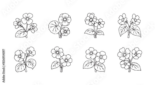 Vintage botanical floral elements of roses and leaves for decorative design vector
