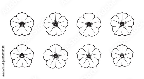 Collection of eight delicate hand-drawn petunia flowers outline botanical art study vector