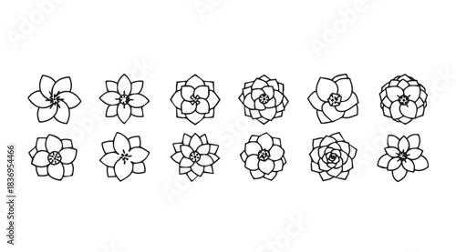 Collection of delicate hand-drawn floral elements for creative design projects vector