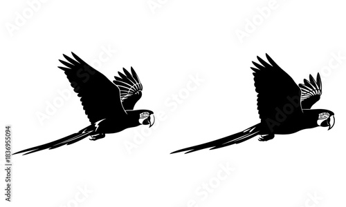 Flying macaw parrot silhouette vector graphic on white background, animal illustration