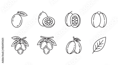 Hand drawn fruit collection icons featuring tropical produce and healthy ingredient sketches vector