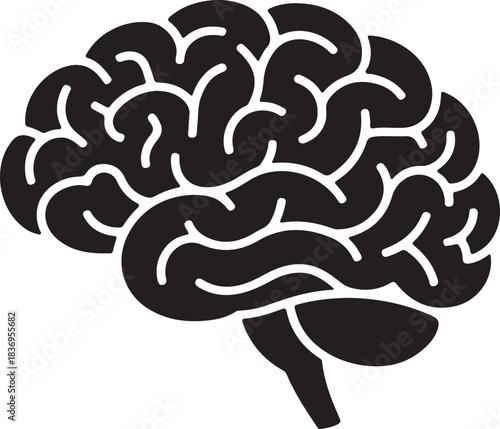 A detailed illustration of a human brain from the side silhouette