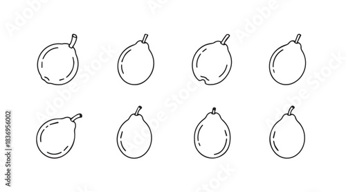Hand drawn sketch collection of eight unique fig fruit varieties for culinary and artistic use vector