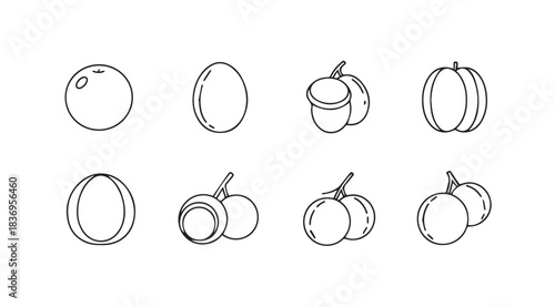 Collection of hand drawn fruit icons simple line art sketches for healthy food designs vector
