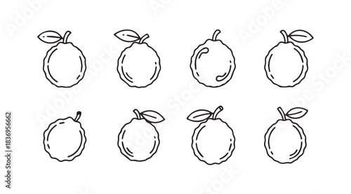 Collection of hand drawn sketch oranges with leaves fresh citrus fruits isolated design elements vector