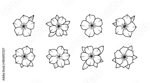 Collection of delicate hand-drawn floral elements sketch style botanical art vector