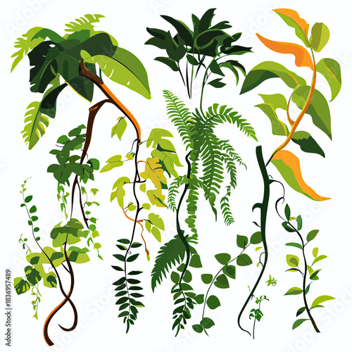 Tropical hanging vines and lush green foliage vector illustration flat minimalist style isolated on white background with orange accents and diverse leaf shapes for nature design