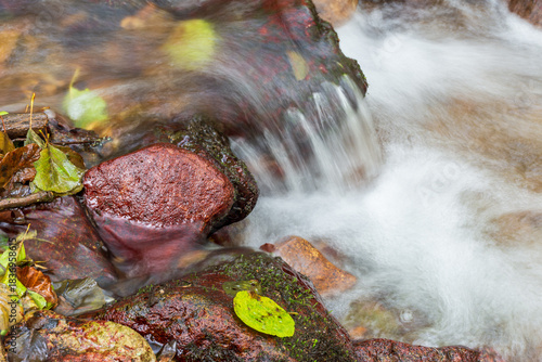 A small stream flows over smooth and rounded rocks in a forest in Skikda, Algeria.