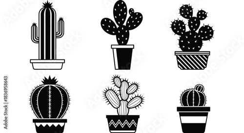 Variety of cacti in decorative pots illustration