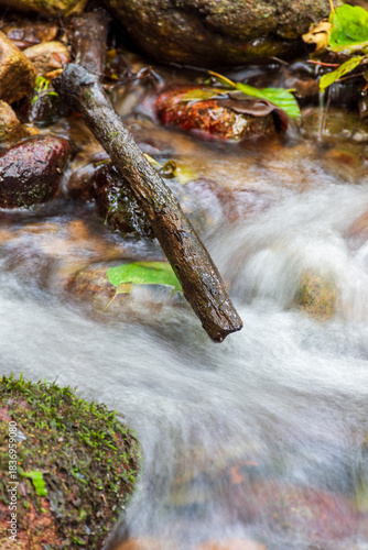 A small stream flows over smooth and rounded rocks in a forest in Skikda, Algeria.