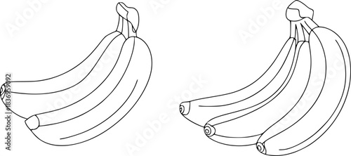 Two Bunches of Bananas, Line Art Illustration
