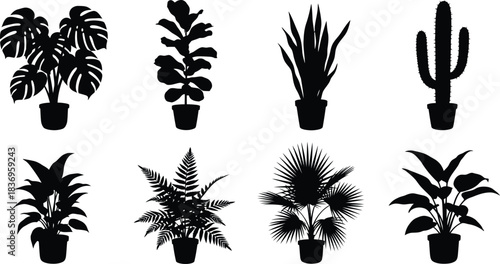 A collection of various potted indoor plants in black silhouette style