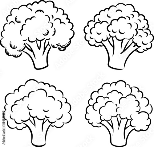 Four Hand-Drawn Broccoli Florets on a White Background