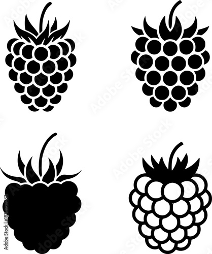 Four Stylized Raspberry Icons in Black and White