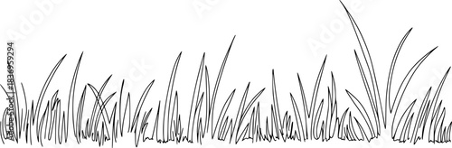 Simple Black and White Line Drawing of Lush Green Grass Blades