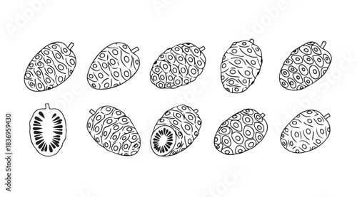 Hand drawn abstract botanical elements of tomatoes and seeds organic sketch art collection vector
