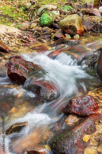 A small stream flows over smooth and rounded rocks in a forest in Skikda, Algeria.