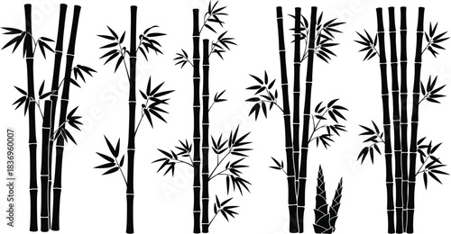 A black and white illustration depicting several stalks of bamboo with leaves