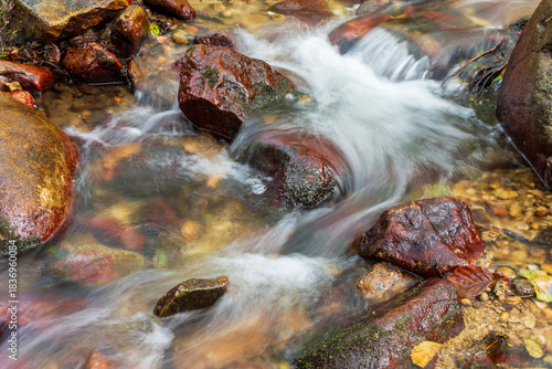 A small stream flows over smooth and rounded rocks in a forest in Skikda, Algeria.