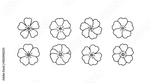 Hand drawn delicate flower illustrations botanical elements decorative floral designs for art projects vector