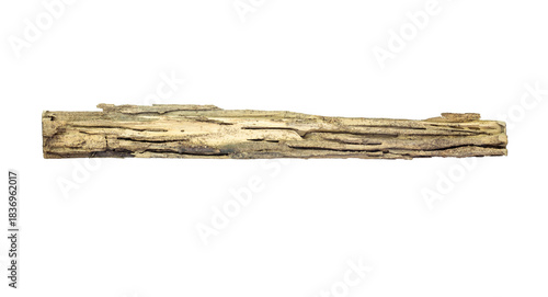 Cracked dry wood as a decorative design element. Old rotten piece of wood
