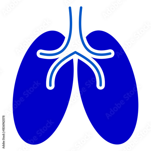 Human Respiratory Lungs Organ