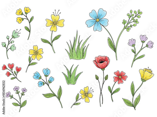 A collection of various hand-drawn wildflowers and blades of grass, rendered in a simple, colorful illustration style.