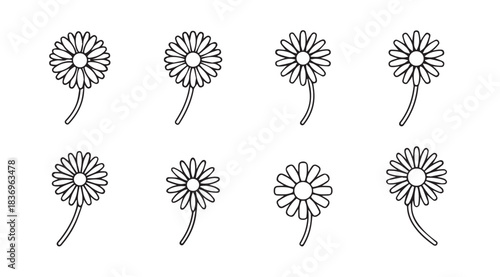 Collection of eight stylized daisy flower icons with gentle curving stems for decorative purposes vector