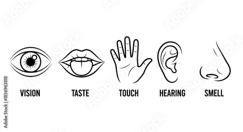 "Icons representing the five senses: vision, taste, touch, hearing, and smell, illustrating human sensory perception."