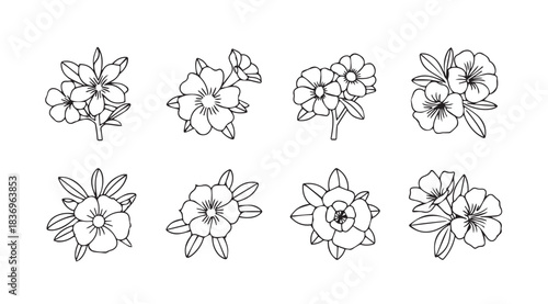 Hand drawn botanical flowers sketch collection delicate floral arrangements elegant line art design elements vector