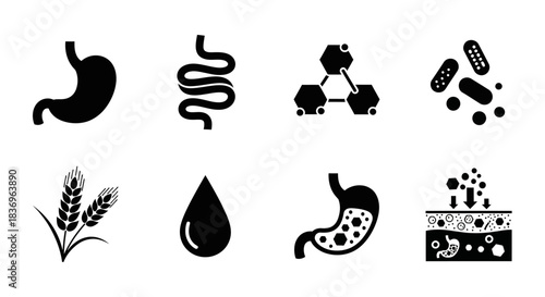 "Icons representing digestive health, nutrition, and gut function including stomach, intestine, nutrients, and water."