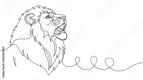lion vector illustration
